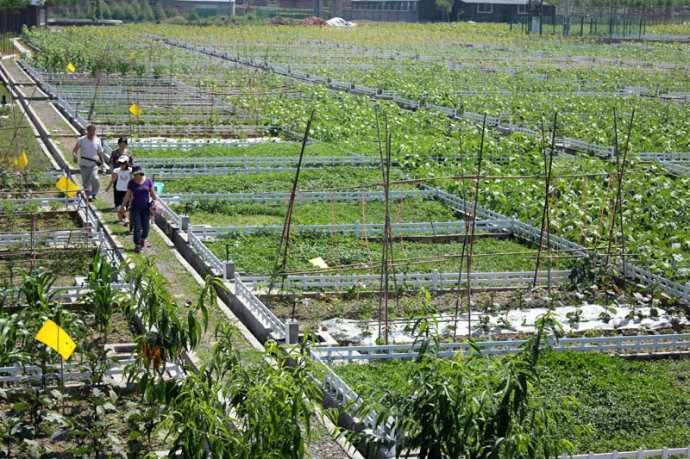 農(nóng)業(yè)生態(tài)園